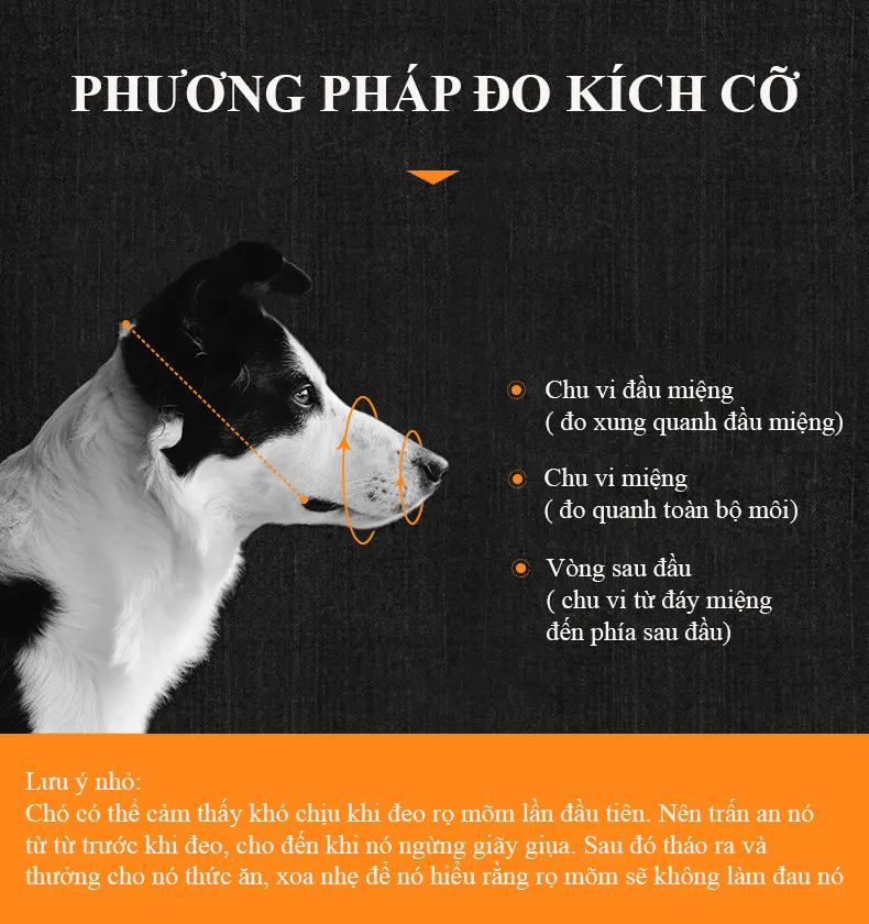 Rọ mõm chó Regoo RG1141 da PU chống cắn chống sủa chống ăn bậy cho chó nhỏ vừa lớn, phụ kiện huấn luyện chó XS  - XXL
