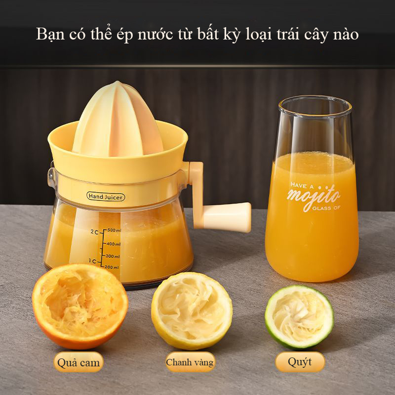 Máy ép trái cây quay tay Regoo dùng trong gia đình, phù hợp ép cam và trái cây mọng nước RG2034