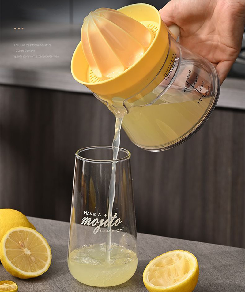 Máy ép trái cây quay tay Regoo dùng trong gia đình, phù hợp ép cam và trái cây mọng nước RG2034