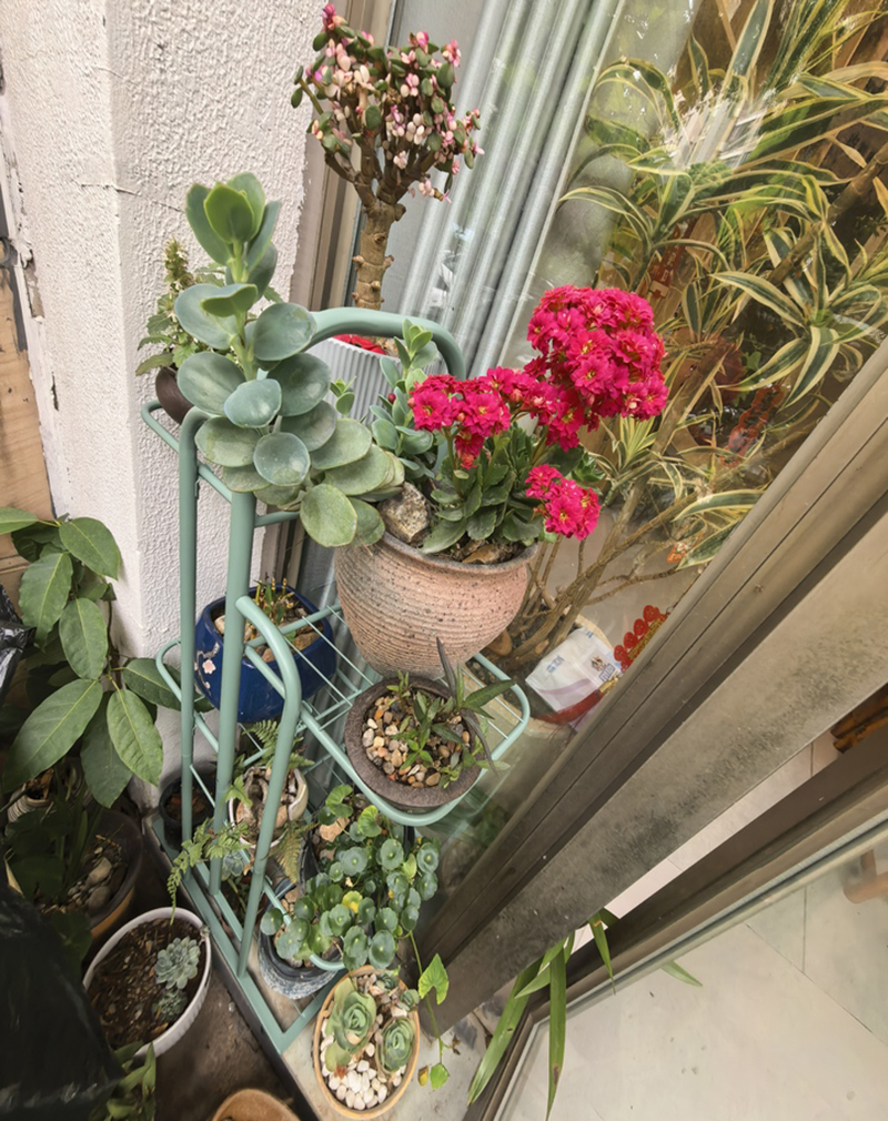 Kệ để chậu cây ban công, trang trí nhà Regoo RG1041 nhiều tầng đặt sàn, khung sắt sơn tĩnh điện phong cách tối giản hiện đại.