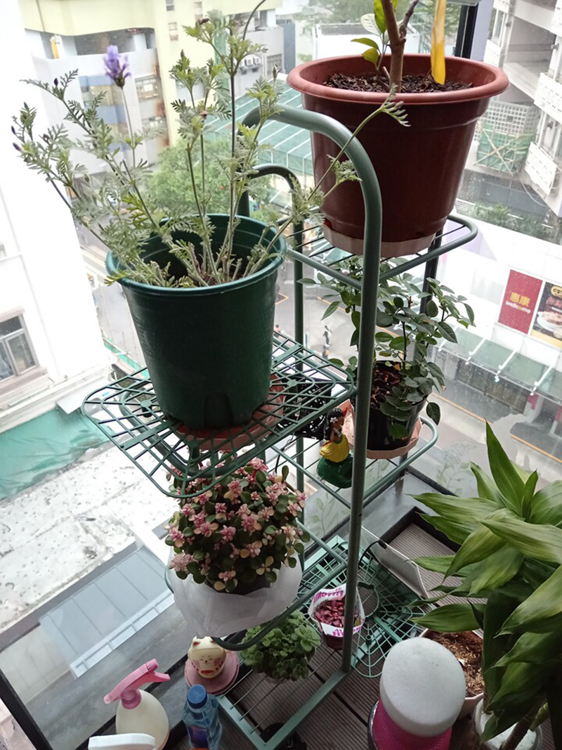 Kệ để chậu cây ban công, trang trí nhà Regoo RG1041 nhiều tầng đặt sàn, khung sắt sơn tĩnh điện phong cách tối giản hiện đại.