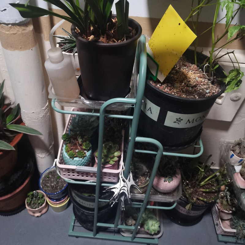 Kệ để chậu cây ban công, trang trí nhà Regoo RG1041 nhiều tầng đặt sàn, khung sắt sơn tĩnh điện phong cách tối giản hiện đại.